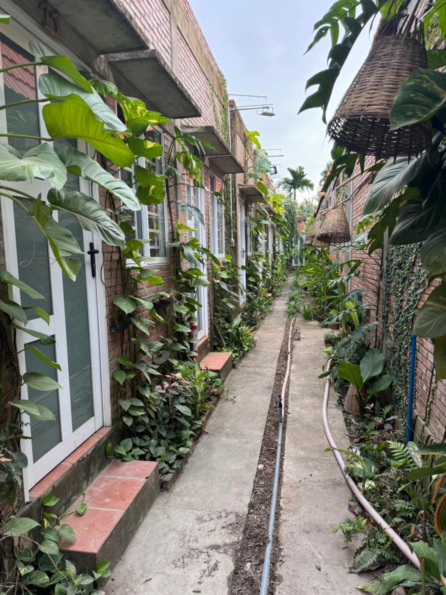 Bau Bi Mini Farmstay Mekong - Tien Giang Mỹ Tho Buitenkant foto